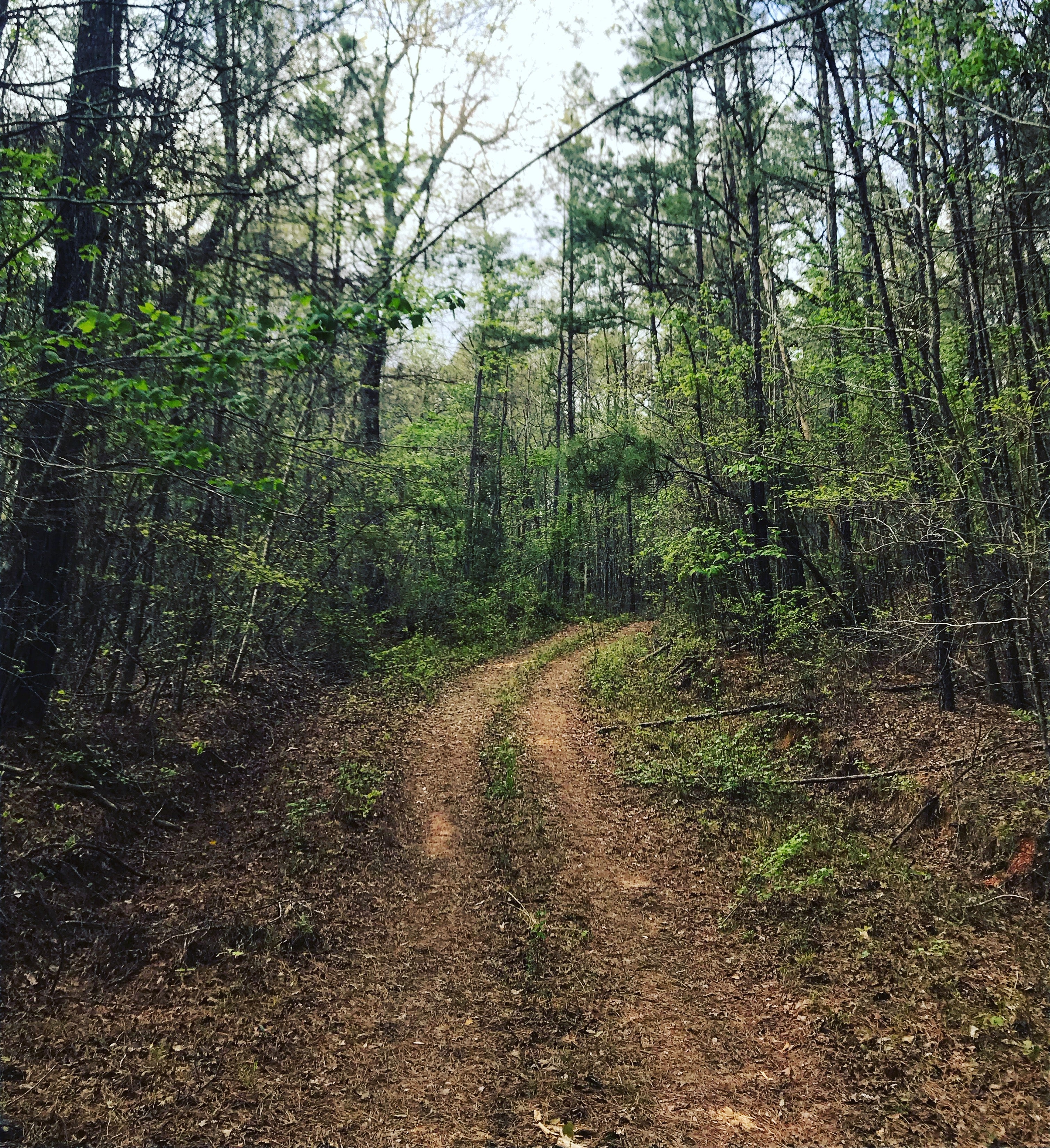 From My Great Aunt’s Sewing Machine to Hollow Creek Heirlooms: The Story Behind Our Handmade Journey